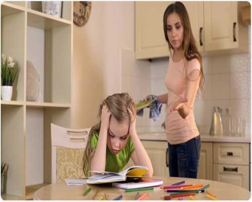 郁金香，千年回家路