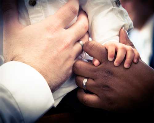 一盆菖蒲，陪你沉浸端午小长假